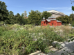 Botanischer Garten