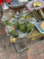 Morgenmarkt - Gemsesuppe