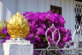 Wat Xien Ton Kloster