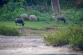 Bootsfahrt auf dem Mekong