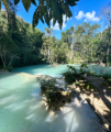 Kuang Si Wasserfall - In den trkisblauen Pools kann man Schwimmen und sich von Putzerfischen "anknabbern" lassen