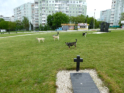 Die Hunde lieen uns nicht an die Grabmler heran
