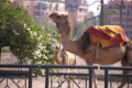Marrakesch