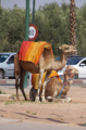 Marrakesch