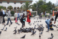 Platz Mohammed V.