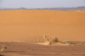 Erg Chebbi