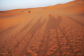 Erg Chebbi - Kamelritt