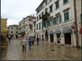 Kotor