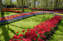 Keukenhof