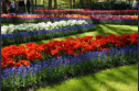 Keukenhof