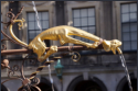 Den Haag - Binnenhof