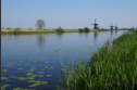 Kinderdijk