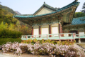 Myohyangsan - Pohyon-Tempel