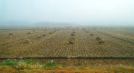 Fahrt von Pjngjang nach Hyangsan