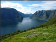 Aurlandsfjord