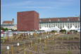 Der Heldenplatz mit der Hofburg im Hintergrund - Im Vordergrund eine Erinnerung anlsslich der Feiern 60 Jahre Kriegsende - Das zugemauerte Denkmal Erzherzog Karls und die Schrebergrten inmitten der Stadt