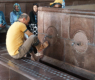 Sultan-Qabus-Moschee Rituelle Waschung vor dem Gebet