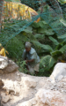 Wadi Tiwi