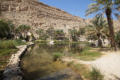 Wadi Bani Khalid