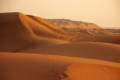 Wahiba Sands