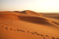 Wahiba Sands