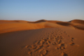 Wahiba Sands