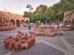 Nizwa - Souk