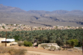 Oase Al Hamra