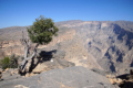 Jebel Shams
