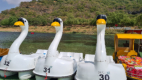 Kitsch im Wadi Darbat