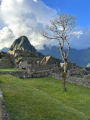 Machu-Picchu