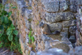 Machu-Picchu - Chinchilla