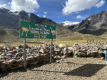 La Raya Pass (4.335 m Seehhe)