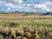 Altiplano-Hochebene