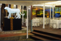 Locarno - Filmfestival