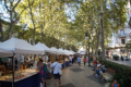 Passeig del Born
