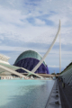 Ciutat de les Arts i les Cincies