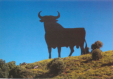 Stier - Osborne lt gren!