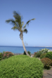 Playa Blanca