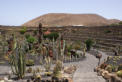 Jardin de Cactus