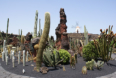 Jardin de Cactus