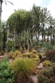 Elche - Botanischer Garten Huerto del Cura