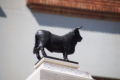 Teruel - Plaza de El Torica