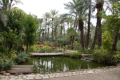 Elche - Botanischer Garten Huerto del Cura