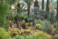 Elche - Botanischer Garten Huerto del Cura