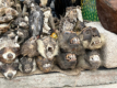 Fetischmarkt Lom-Akodsswa. ber dem Markt liegt aufgrund der vielen Tierkadaver ein starker Verwesungsgeruch!