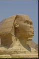 Die altehrwrdige Sphinx
