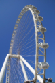 Ain Dubai - Riesenrad: Mit 260 m Hhe das hchste Riesenrad der Welt