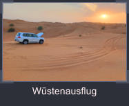 Wstenausflug