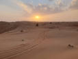 Dune Bashing